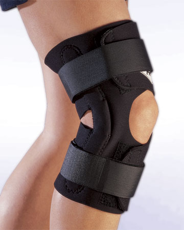 Hinged Knee Support
